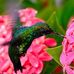Thomas Kinslow - Facebook