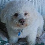 Thomas Kintner - @kintner_kintner - Instagram