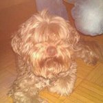 Thomas Kirschbaum - @thomaskirschbaum - Instagram