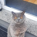 Thomas Kirschbaum - @kirschbaum.thomas - Instagram