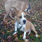 Thomas Kirst - @kirst_thomas - Instagram