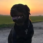 Thomas Kirst - @kirstensen2512 - Instagram