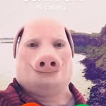 Thomas Klaassen - @thomas_klaassen512 - Instagram