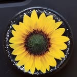 Jane Thomas Klag - @gjanex2 - Instagram