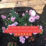 Thomas Klaus - @thomas.klaus.378 - Instagram