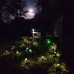 Thomas John - @thomaskleister - Instagram