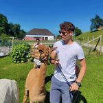 Thomas Kloß - @thomas.kloss24 - Instagram
