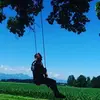 Thomas Klose - @thomasklose0 - TikTok
