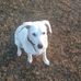 Thomas Kustermann - Facebook
