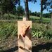 Tom Knappenberger - Facebook