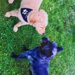 Frank Thomas Knauer - @frankthomasknauer - Instagram