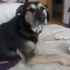 thomasknauer465 - @thomasknauer465 - TikTok