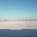 Thomas Kohlmeyer - @kohlmeyerthomas - Instagram
