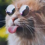 Thomas Andreas Kolar - @kothoa1101 - Instagram