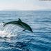 Thomas Kontos - Facebook