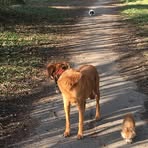 Thomas Köpke - Facebook