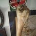 Thomas Koranda - Facebook