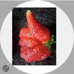 Thomas Korn - @thomas_korn_ - Instagram