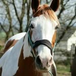 Thomas Korb - @korb_thomas - Instagram