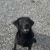 Thomas Korn - @thomaskorn67 - TikTok