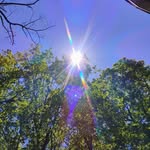 Thomas Kosinski - @zomeezz - Instagram