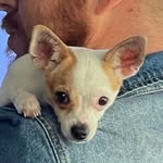 Kostas Thomas - @thomas.kostas - Instagram