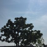 Thomas Kosta - @tomkosti - Instagram