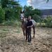 Thomas Kothe - Facebook