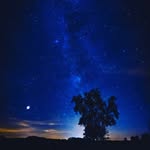 Thomas Krauß - @thkrauss - Instagram