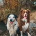 Thomas Kreilinger - Facebook
