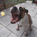 Thomas Kremer - Facebook