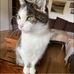 Thomas Krenzer - Facebook