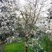 Thomas Krenzer - Facebook