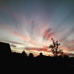 Thomas Kröger - @kroger2933 - Instagram