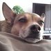 Thomas Krumm - Facebook