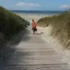 thomaskrumbach - @thomaskrumbach - TikTok