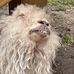 Thomas Kubik - Facebook