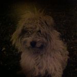 Thomas Kugel - @t.kugel1981 - Instagram