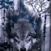 Thomas Kugel - Facebook