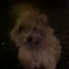 thomaskugel1 - @thomaskugel1 - TikTok