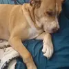 thomaskugel592 - @thomaskugel592 - TikTok