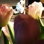 Thomas Kuhl - @luminoli_kuschelowski - Instagram