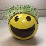 Thomas Kuhns - @thomkuhns - Instagram