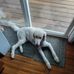 Thomas Kuhns - Facebook