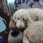 Thomas Kuhns - @kuhns_thomas - Instagram