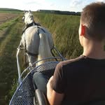 Thomas Labbé - @thomas_labbe_ - Instagram
