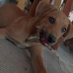 @thomas_laila_luna - Instagram