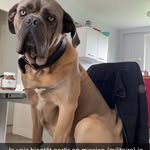 Thomas Lair - @rwt_thomas458h - Instagram