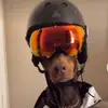 Thomas Lambert - @thomaslambert66 - TikTok