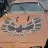 Thomas Lambert - @firebird950 - TikTok